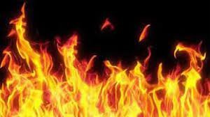 সোনাহাটে আগুনে পুড়ল ৯ গরু, ২ ঘর