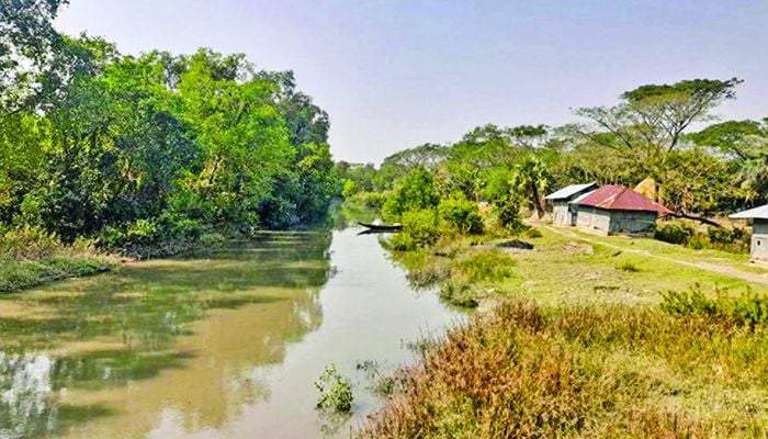 তারের বেড়া ও নদী মরে যাওয়ায় লোকালয়ে যাচ্ছে বন্যপ্রাণী