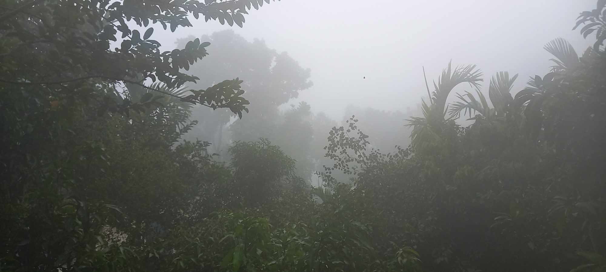 পঞ্চগড়ে টানা দু'দিন এককের ঘরে তাপমাত্রার পারদ