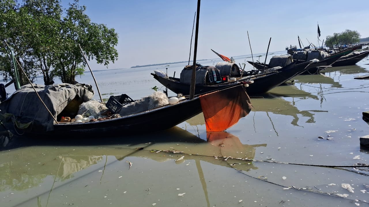 অবৈধ জাল ও বিষে বিপর্যস্ত উপকূল: মাছশূন্য নদী–জঙ্গল–সাগর