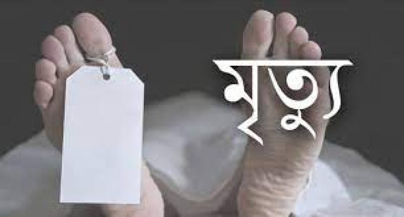 শরণখোলায় গাছের চাপায় দিনমজুরের মৃত্যু