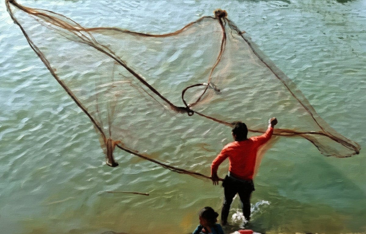 দেশীয় মাছের সংকট: নদী-নালায় হারিয়ে যাচ্ছে প্রাচুর্যের দিন