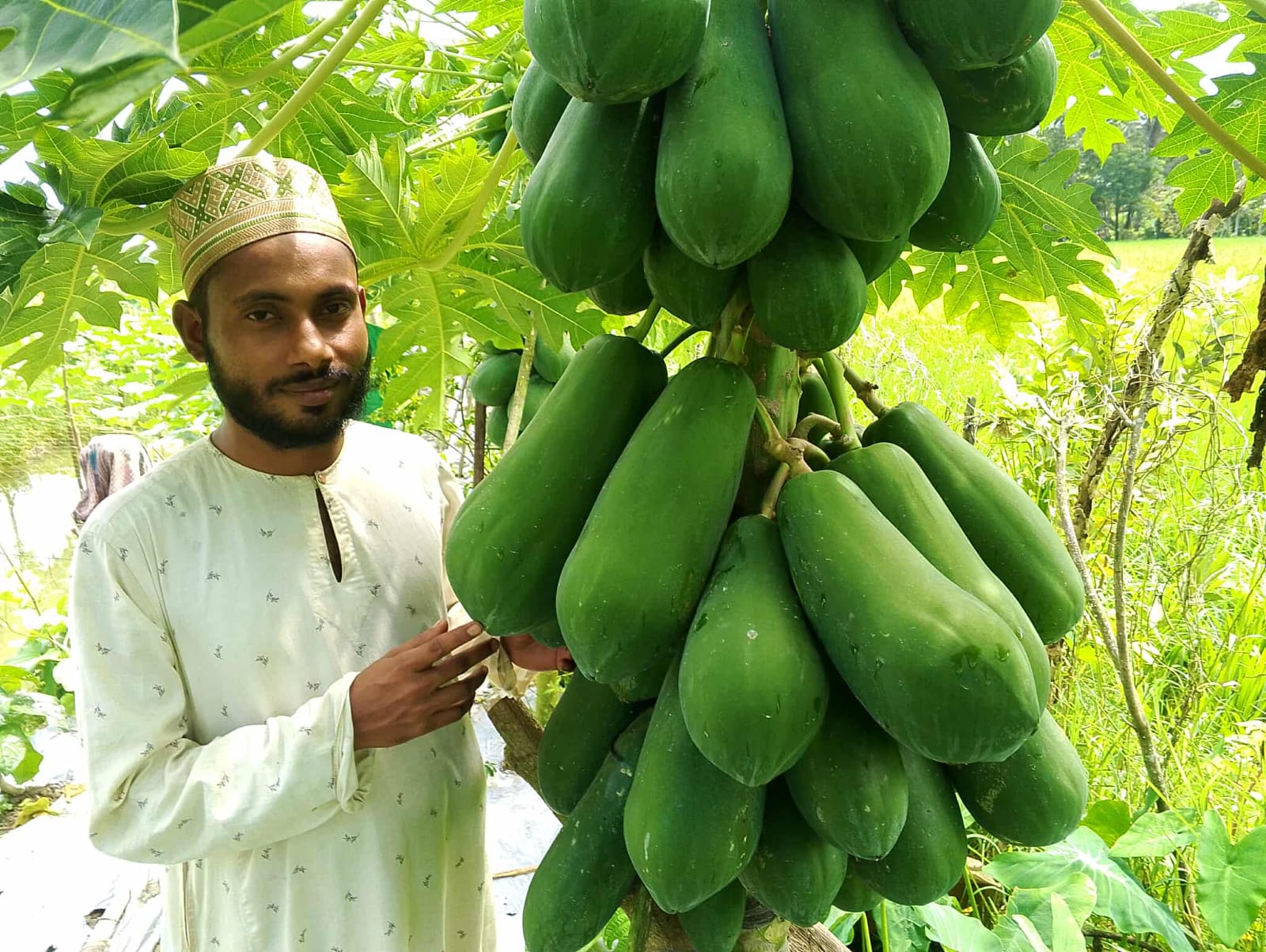 পড়াশোনার পাশাপাশি সবজি চাষে সফল মাইনুল