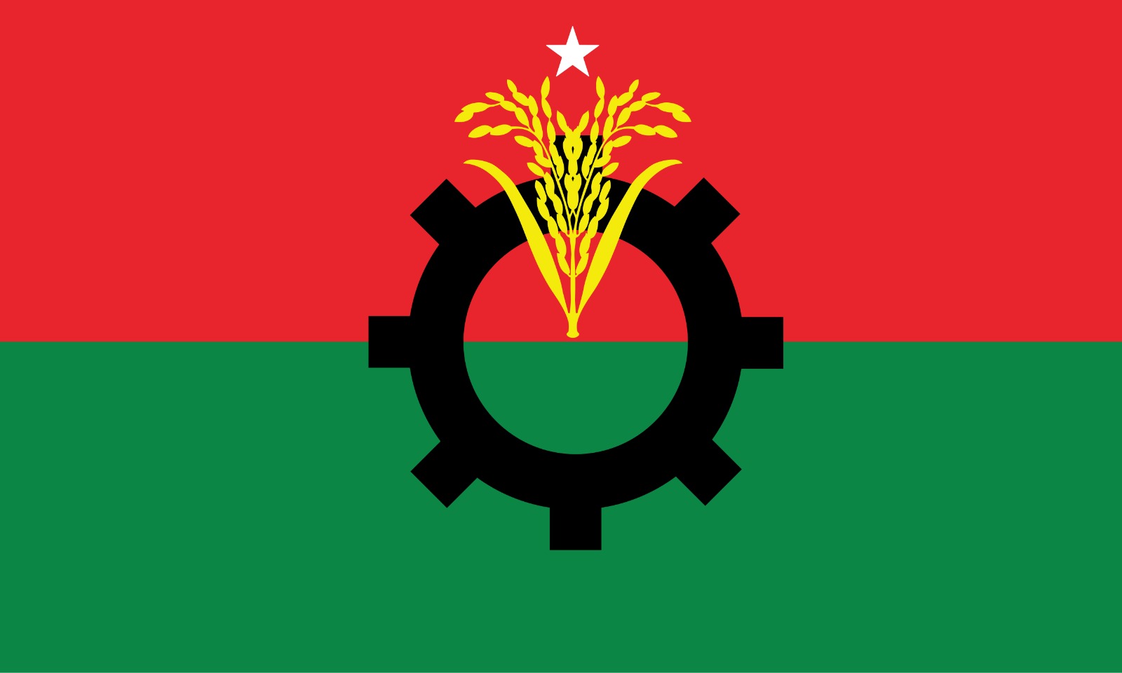 ফরিদপুরে বিএনপির  রাজনৈতিক মাঠে তোলপাড়